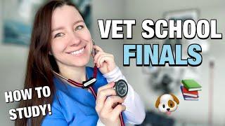 VET SCHOOL FINAL EXAMS: everything you need to know about vet school exams, format + how to study! 