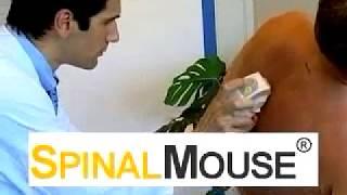 Spinal Mouse® overview Copyright Idiag AG, 2016