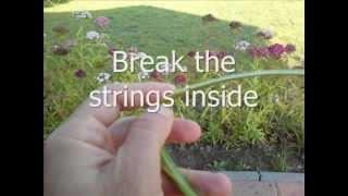 Primitive rope making from common hemp - Kender kötél készítés