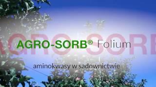 Aminokwasy w sadownictwie - Polskie Aminokwasy AgroSorb Folium - www.PolskieAminokwasy.pl