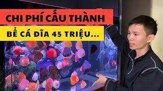 Bể cá đĩa 45 triệu có gì |Nguyễn Du aqua