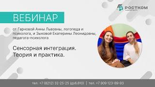 Вебинар: Сенсорная интеграция. Теория и практика.