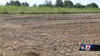 ‘The risk is too great’: Triad strawberry farmers may cancel 2025 strawberry season