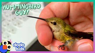 Hummingbirds Love This Guy's Fairytale Costumes! | Dodo Kids