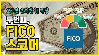 FICO, 크레딧점수 올리는 노하우│모르면 손해본다 EP#02