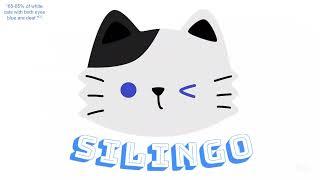 SiLingo Presentation