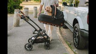 Tavo Pets | Expertly Engineered Pet Car Seats