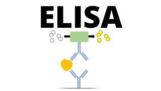 ELISA (Enzyme-linked Immunosorbent Assay)