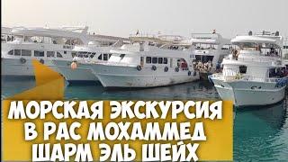 Морская экскурсия на ЯХТЕ в заповедник РАС МОХАММЕД в Шарм Эль Шейхе с@user-yo4gp4jk8z #шармэльшейх