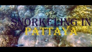 Snorkeling in Pattaya at Koh Phai and Koh Klung Badan | Video by Samsung S20+ Ultra