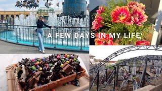 Vlog| impulsive life decisions, phantasialand, gynaecologist visit, finishing exams