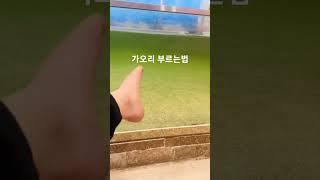 가오리 부르는 법 #shorts