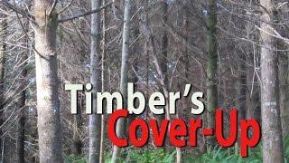 Timber's Cover-Up: The Truth About Oregon Forests