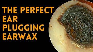 The Perfect Ear Plugging Earwax