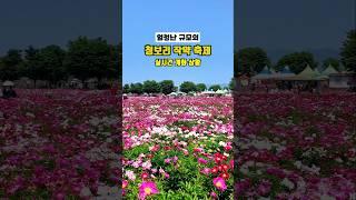 작약과 청보리가 함께 볼 수 있는 여행지, 축제는 끝났지만 꽃들은 지금이 절정 / 함안 청보리작약축제 #함안작약 #함안청보리작약축제 #작약 #청보리밭