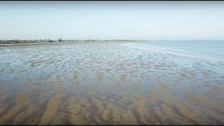 De toekomst van de Waddenzee; zeespiegelstijging, bodemdaling en sedimentatie in de Waddenzee