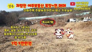 여주부동산 목장+전 476평 1억9천만원~  동여주ic 5분거리 뻥뷰~  강추 매물입니다