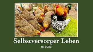 # 32 Einfaches Landleben eines Selbstversorgers  im März  Brot selber backen, Hühner