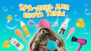 SPA-день для енота Темы: бьюти-рутина домашнего зверька