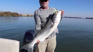 REDEMPTION! Craig Saves the Day with this NICE Ca. Delta STRIPER!! Nov 10, 2019