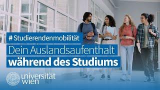 Go International: Auslandssemester für Studierende der Uni Wien