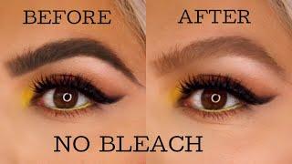 How to lighten your eyebrows  at home !!!    (NO BLEACH)