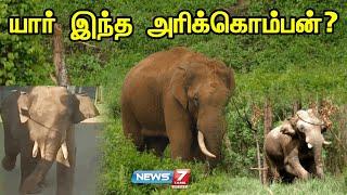 யார் இந்த அரிக்கொம்பன் ?  | Arikomban Elephant Story