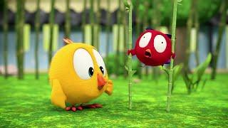 (NEW) Where's Chicky? S3  Funny Poyo | Cartoon in English for Kids | New episodes