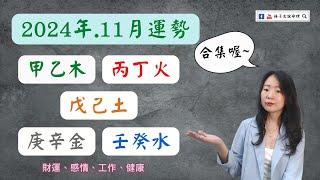 2024.11月(乙亥月) 甲乙丙丁戊己庚辛日主全運勢 財運、感情、工作、健康 | #林子玄說命理