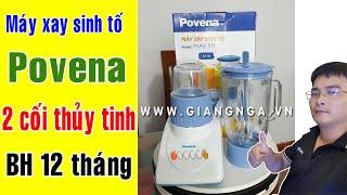 Máy xay sinh tố Povena PVN 311