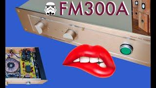 Is the FM300A Output Stage the best Amplifier at all ?  (English)