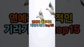 연예계 대표적인 기러기 아빠 top15 #랭킹 #vrew #쇼츠 #이슈 #순위 #연예인 #기러기아빠 #대표
