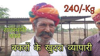 ओम गोट फार्म किशनगढ़ अजमेर | wholesale price | bakra farm | goat farm in rajasthan | pkraj vlogs