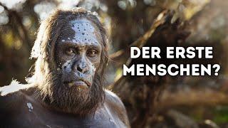 Evolution des Menschen Dokumentarfilm