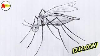 How to Draw a Mosquito Easily And Step by Step !