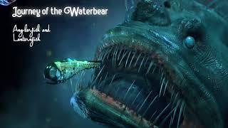 Journey of the Waterbear - Turntable Anglerfish/Lanternfish