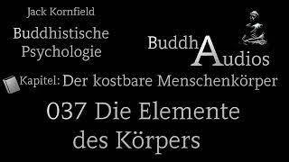 037 Die Elemente des Körpers - Buddhistische Psychologie, Jack Kornfield