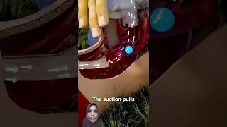 Smart Appliances! New Gadgets, Versatile Utensils, Tool Items #shorts #gadgets
