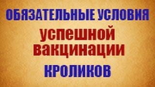 Схема вакцинация кроликов, обоснованная научно и подтвержденная опытом, надежная защита от гибели