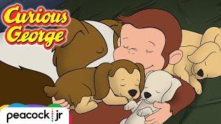 Sleepy George | CURIOUS GEORGE