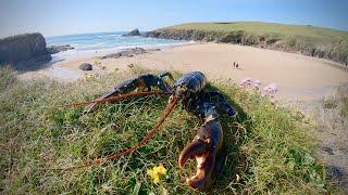 Coastal foraging. Hand caught Lobster, Catch & Cook Forage-Fish-Food #3 Cornwall