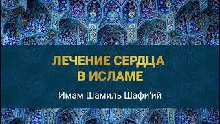 ЛЕЧЕНИЕ СЕРДЦА В ИСЛАМЕ | Имам Шамиль Шафи’ий