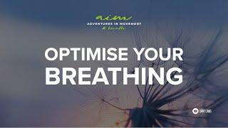 Optimise Your Breathing | Gray Caws