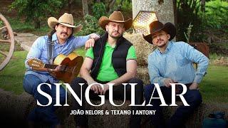 João Nelore & Texano part. Antony - Singular (Clipe Oficial)