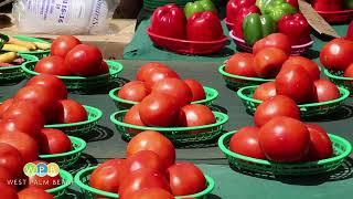 Holiday Gifts at WPB GreenMarket