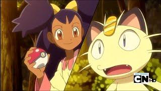 Iris almost caught meowth | Pokemon black and White