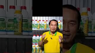 Nguyễn Trâm 17 - Thần dược T10, siêu ra rể, liêu kích mầm, siêu đâm chồi