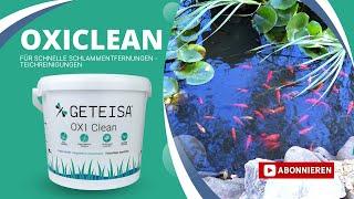 Teichschlamm entfernen & Fadenalgen zerstören mit GETEISA® Oxi Clean – bequem, sicher, schnell!