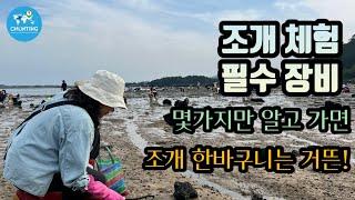[제주체험] 제주도 조개체험은 이곳에서만 가능합니다.