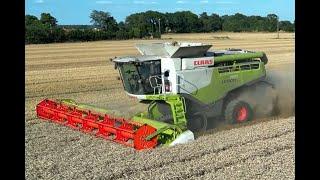 Claas Lexion 760 Terra Trac à la moisson de blé 2023 